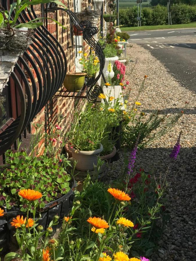 Yarm Cottages Sleeping 12 Kirklevington エクステリア 写真